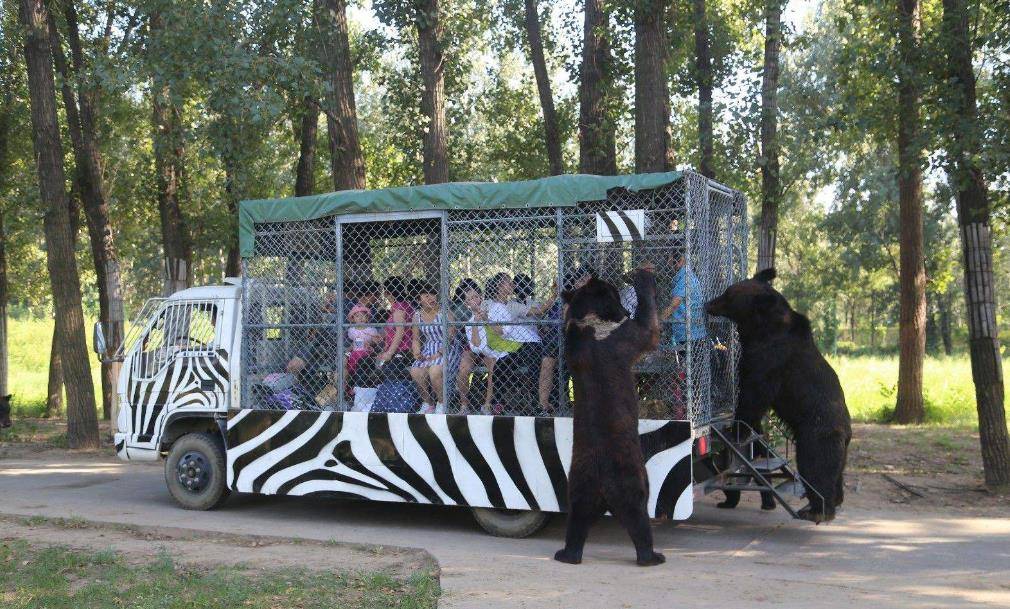 北京八达岭野生动物园分为野生动物游览区,山林观光区,生态保护区,古
