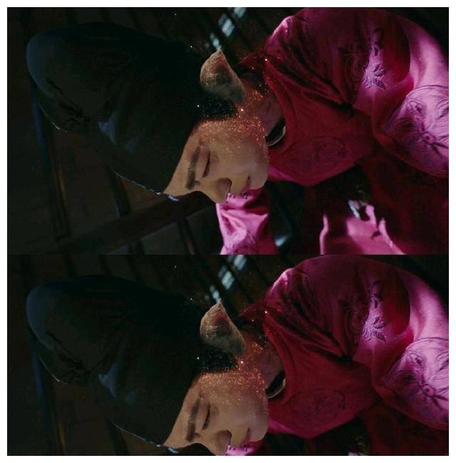 丁禹兮_猫咪_感觉