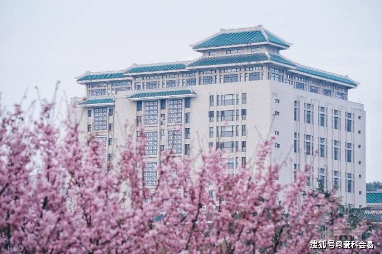 武汉大学常年位列 "中国最美大学"榜首,可谓是中国的"国立网红大学".