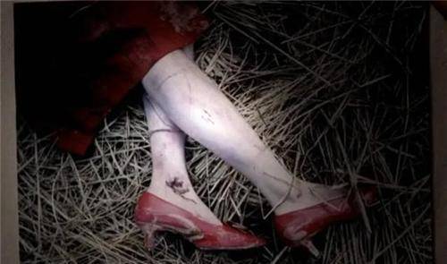 "白银连环杀人案":凶手残害11名红衣女子,警方历时28年才破案_被害人