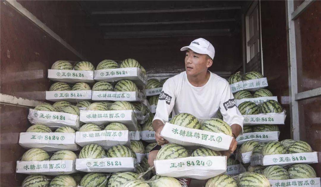 3年前,"西瓜男孩"婉拒捐款,卖7万斤瓜凑学费,今已警校毕业_李恩慧