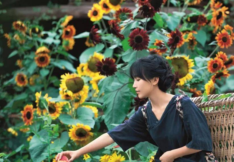 用自己的方式向世界传播中国文化的先行者_李子柒_视频_网友