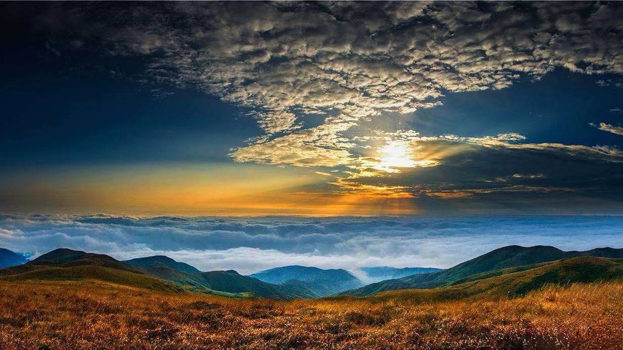 花塘特色产业兴村一跑马探访湖南郴州市临武县之六_旅游_企业_全乡