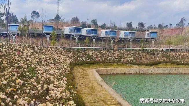 踏春第四站,莲池银杏庄园.