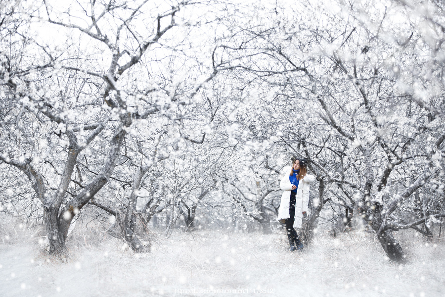 雪吟(王俊磊)_汝南县_白头_实验