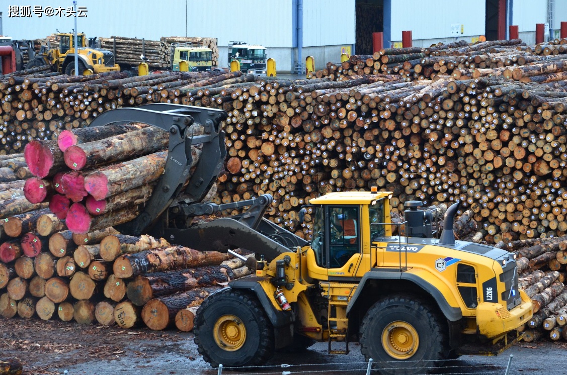 中国市场提供支撑,新西兰原木出口价连续4月上涨_价格_影响_木材