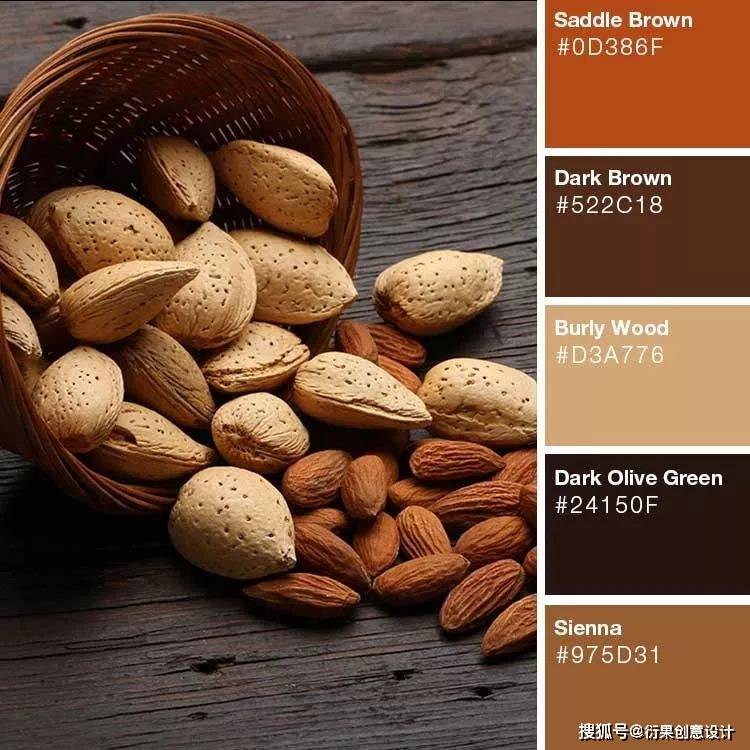 【配色技巧】棕色系色彩搭配方案