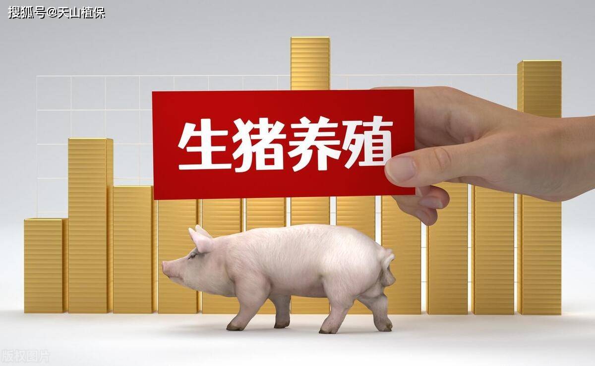 国家对于生猪养殖的扶持政策主要包括能繁母猪补贴,生猪保险,生猪调出