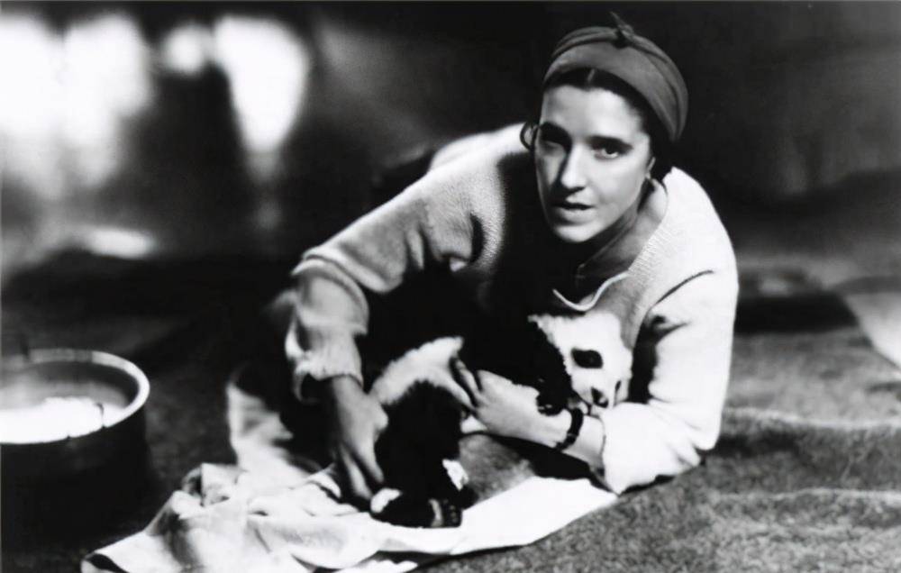 1936年,第一个将大熊猫偷运的美国女子露丝,最后在旅馆孤独离世_寻找