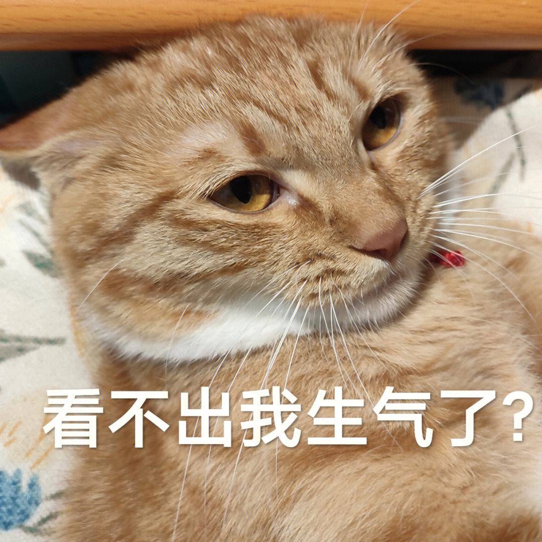 记得初中的时候,同学第一次来我家里吃饭,饭桌上气氛很轻松.