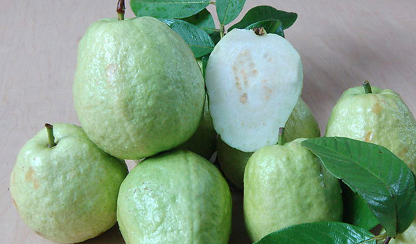 太冷了,不想直接吃番石榴,那就这么吃而且老少皆宜_时候_爷爷_地方