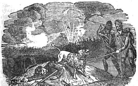 日军狼犬嗜血残暴,根据地"土狗"反杀,昌化犬咬喉一击毙命_军犬_战场