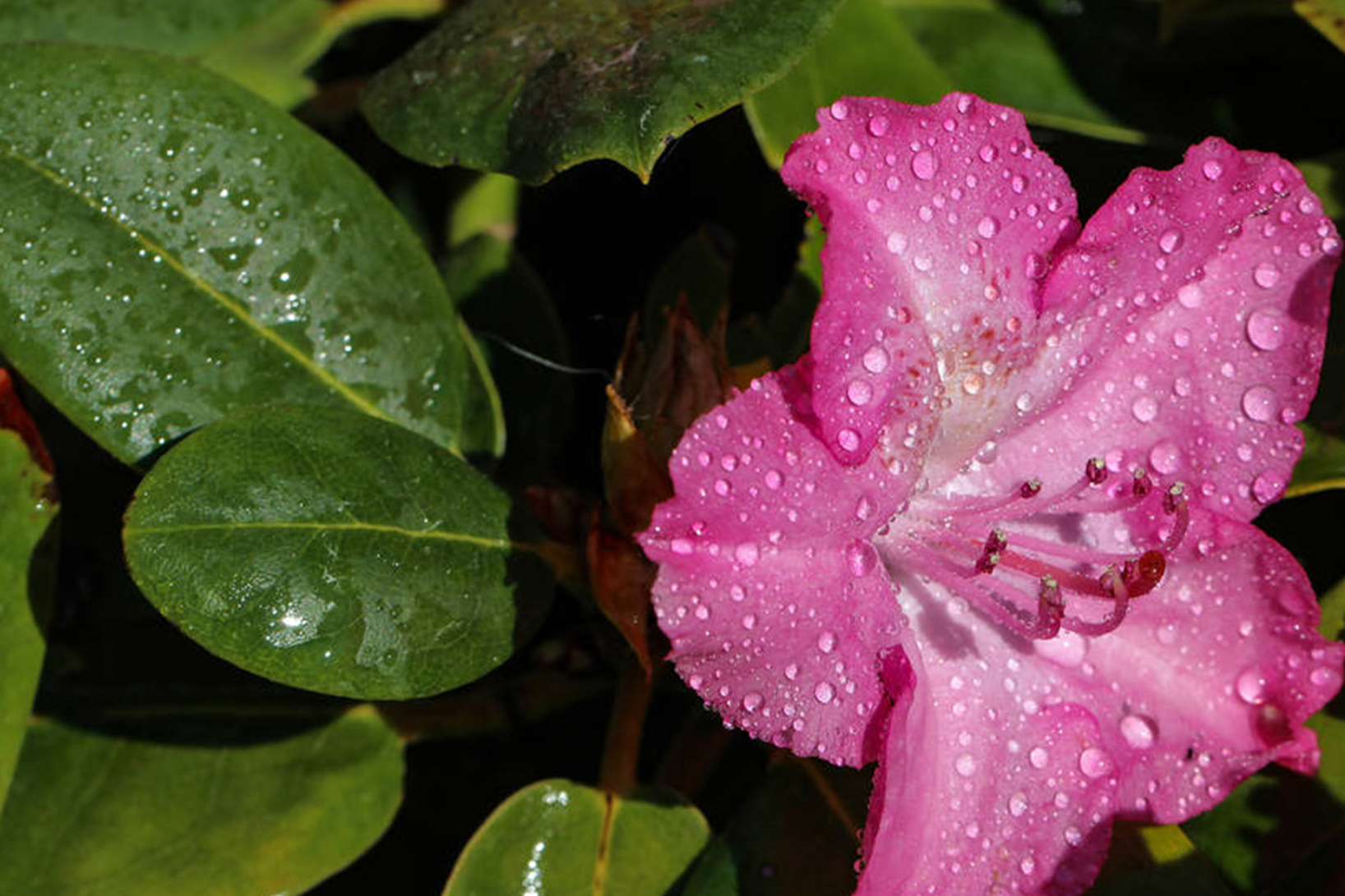 未来30天,运势一路飘红,财势滚滚而来,事业稳步上升的三个星座_金牛座