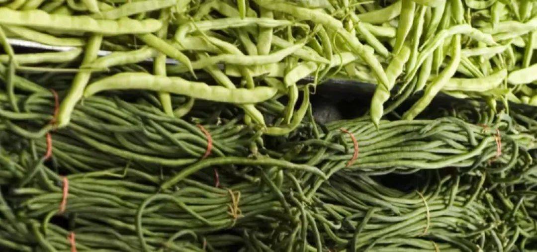 "根本吃不完"的豆角们,也曾遭遇生长危机_大哥_种植_慕恩