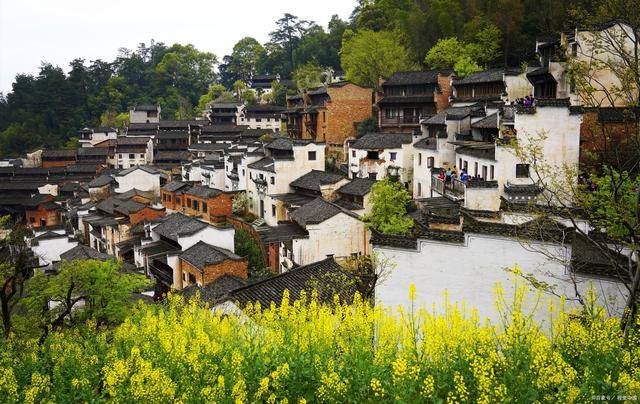 婺源一日游必看景点推荐,江西婺源旅游1日游价格表_路线_菜花_江岭