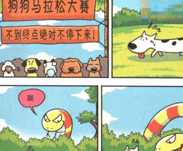 鸡妈妈孵出了许多的小鸡宝宝,呆头却孵出了那么多的小呆头!