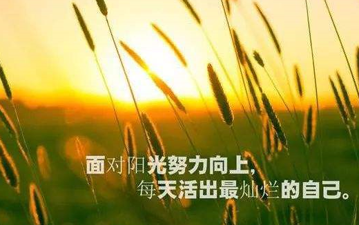 生活_思维_问题