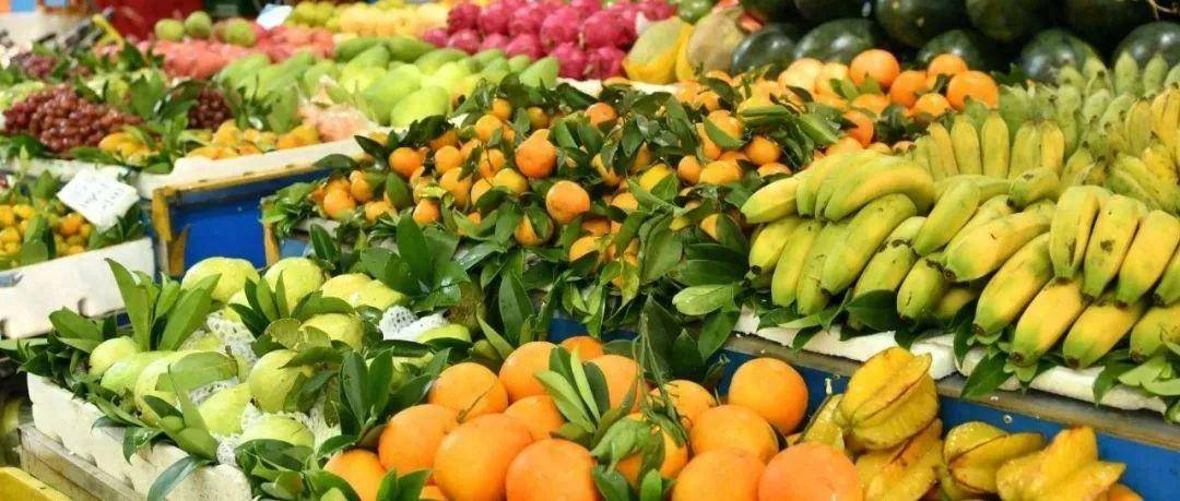 鲜果满园幸福来——崇左市推动水果产业高质量发展观察_技术_沃柑