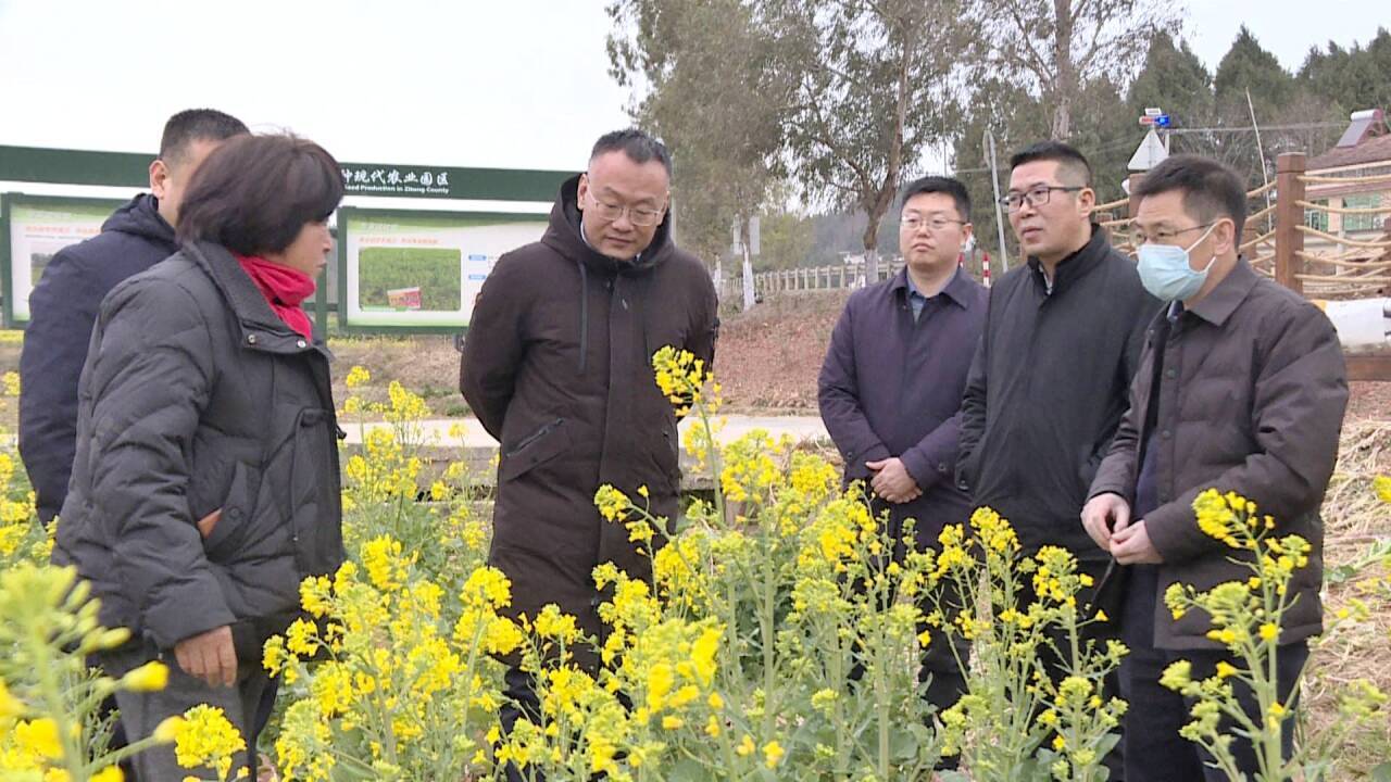 全国农技推广中心专家到梓潼调研指导小春粮油及低温寒潮生产工作