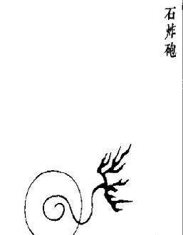 可能正是因为这次领教了火器的厉害,所以明代之后都大力发展火枪,火炮