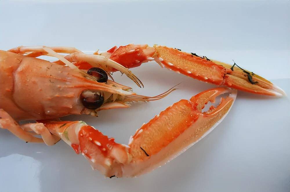 活了4亿年,熬过了3次生物灭绝,如今却"沦落"到被人类拿来喂鸡_恐龙_活