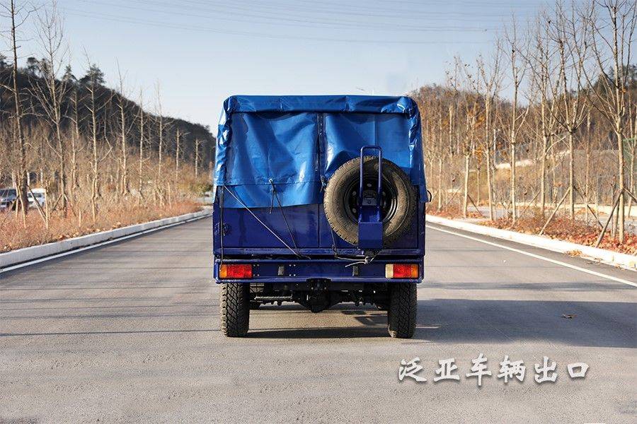 依維柯四驅六驅4x4 6x6專用車輛越野專用車特種車輛改裝車輛_公司