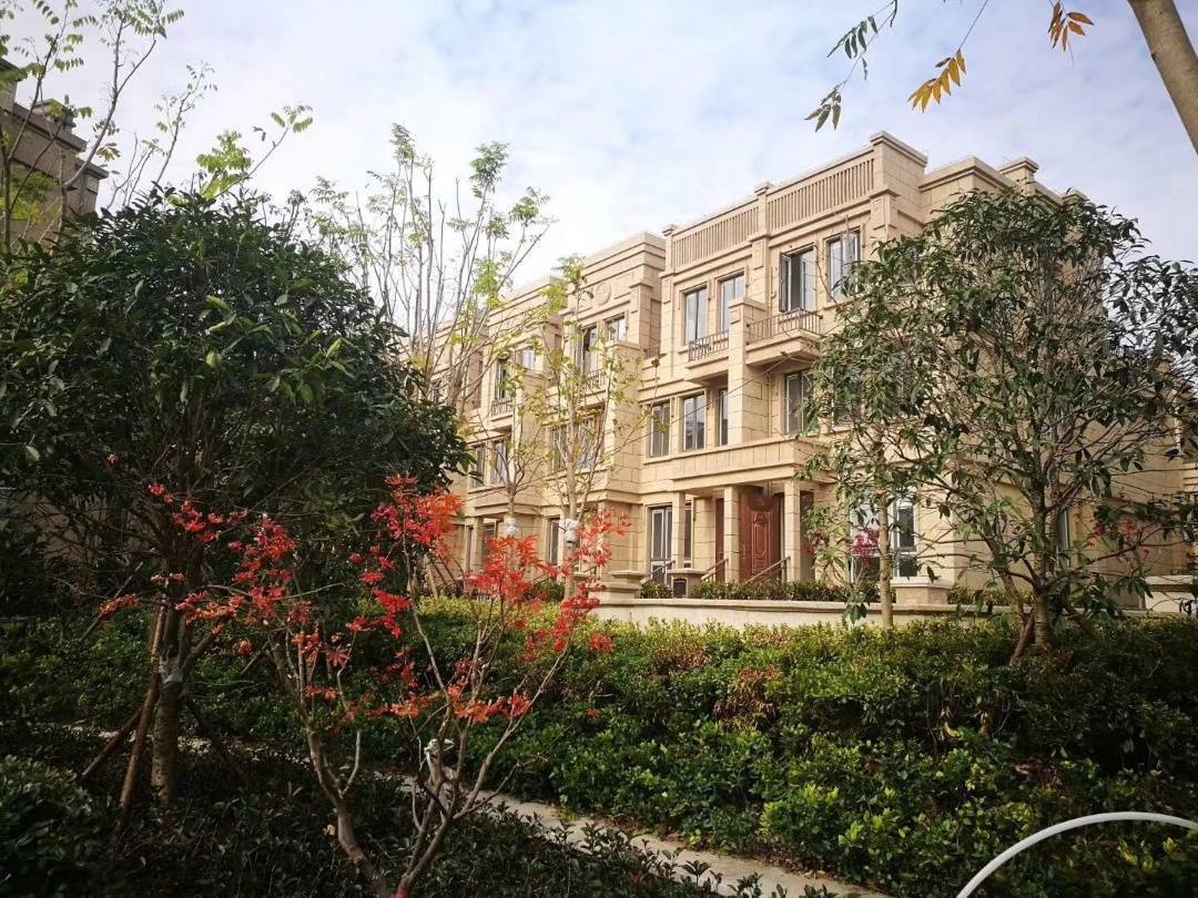 苏州太仓花漫九里 联排别墅-带露台花园-配套成熟!_面积_优势_上海