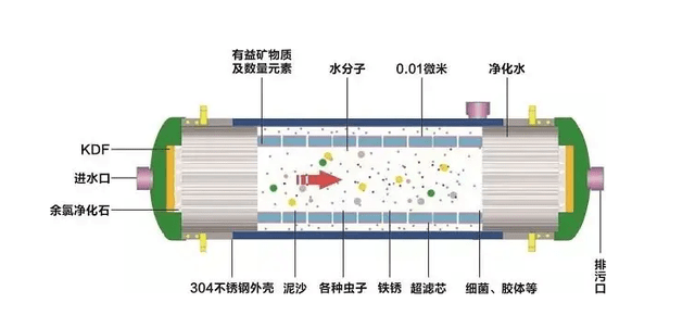 pvdf滤膜的结构图片