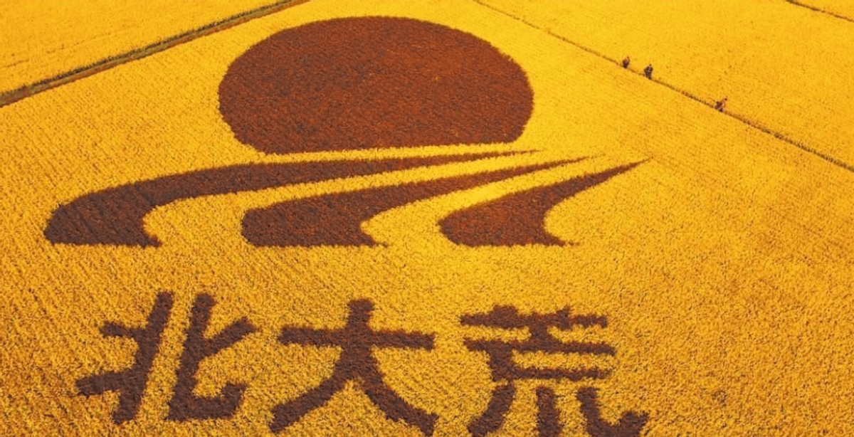 年产百亿斤,号称"中华粮仓"的北大荒,现如今为何要退耕还荒?