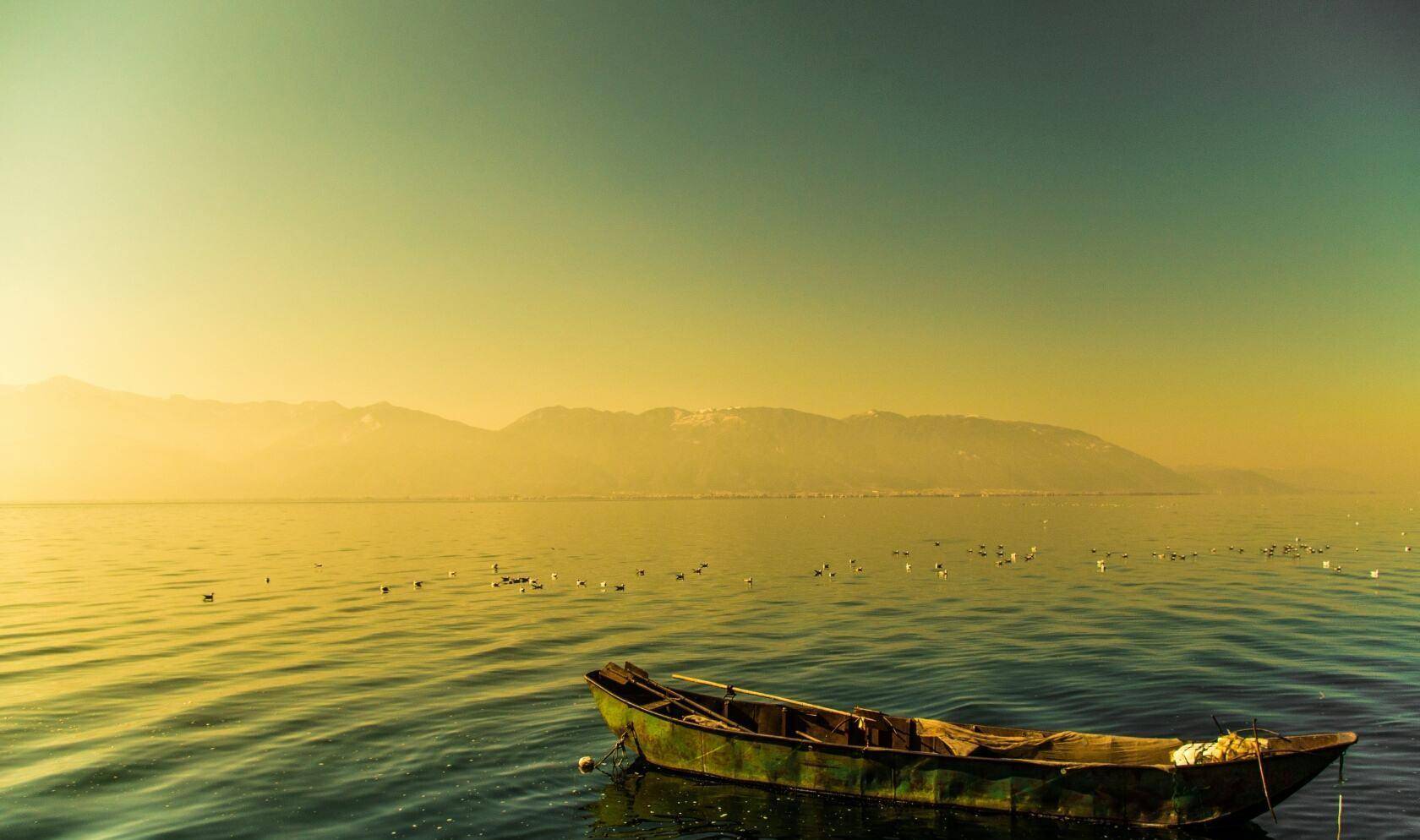 落花纷纷是动景,一叶扁舟是静景;落花是春意,扁舟载动的是离情.