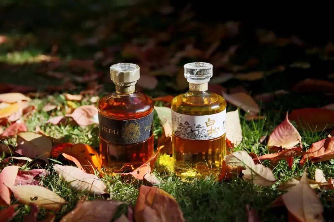 在云贵高原,发现中国威士忌的独特表达_白松_露酒_价值