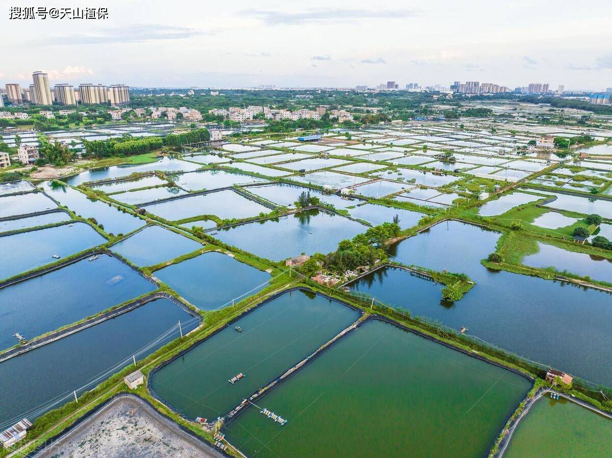 鱼塘_肥料_繁殖