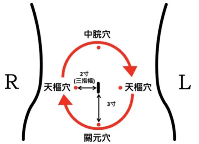 按摩肚子整个部位图图片