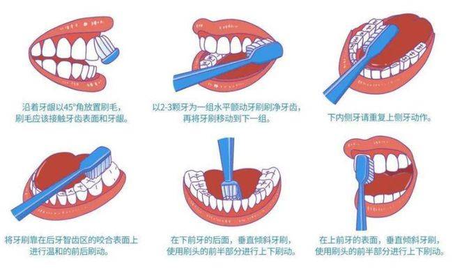 幼儿刷牙的步骤图解图片