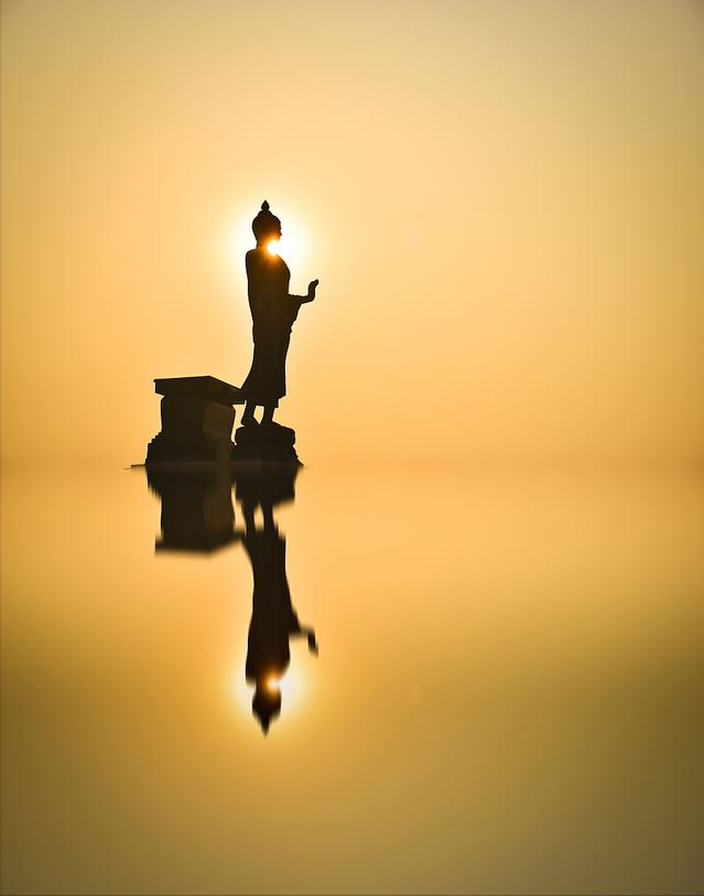 比思维更高级的认知方式,叫"观照"_世界_定义_生命