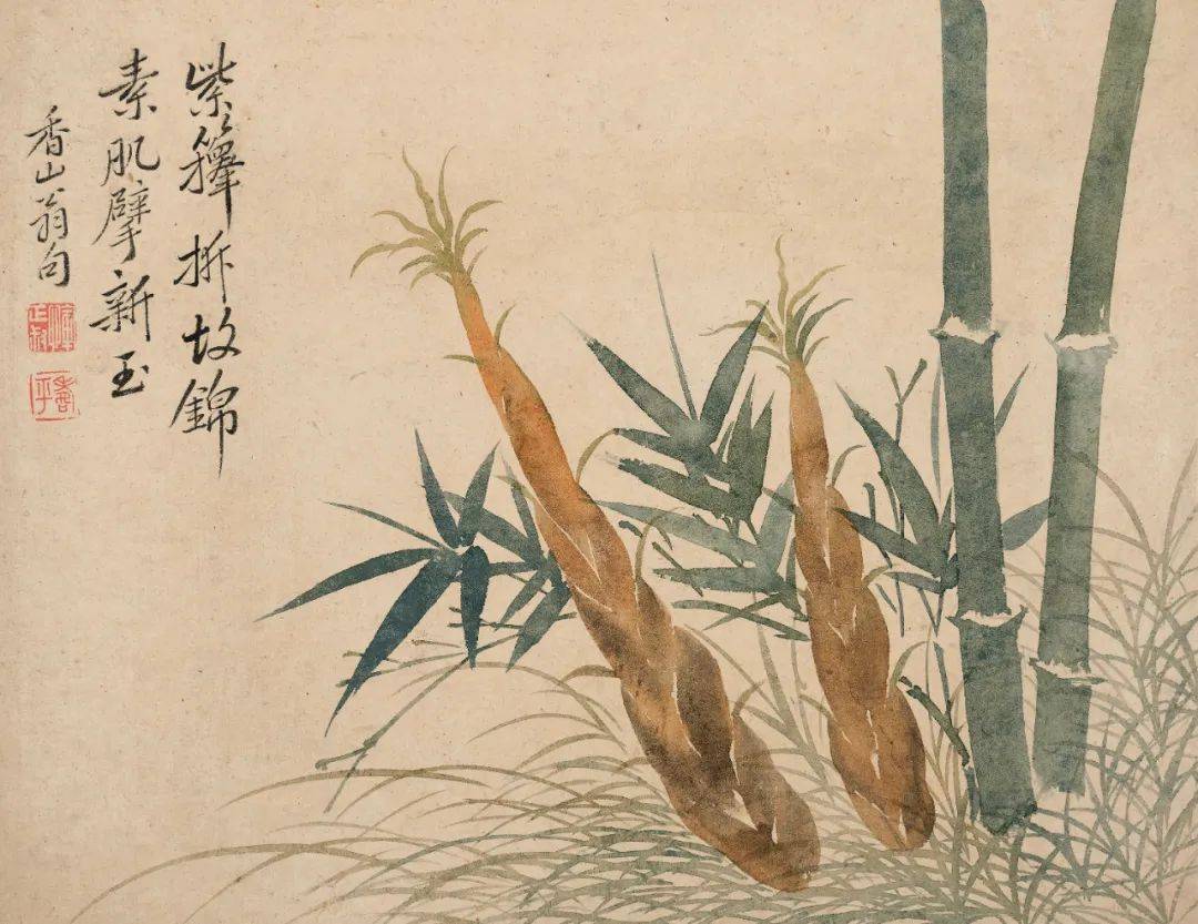 恽寿平《蔬果册》局部第二开"豆花"淡紫色的花朵娇媚多姿,叶脉挺拔而