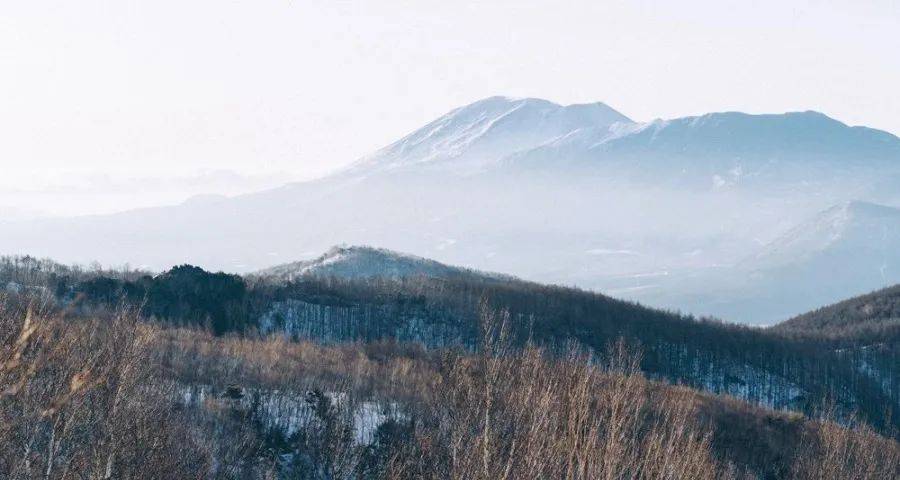 直面用户变革下家电企业只能干掉渠道商-家电圈官网