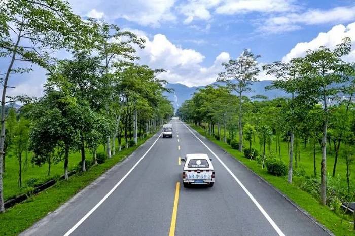 "村村通"后,农村公路将来新一轮升级,村村受益!