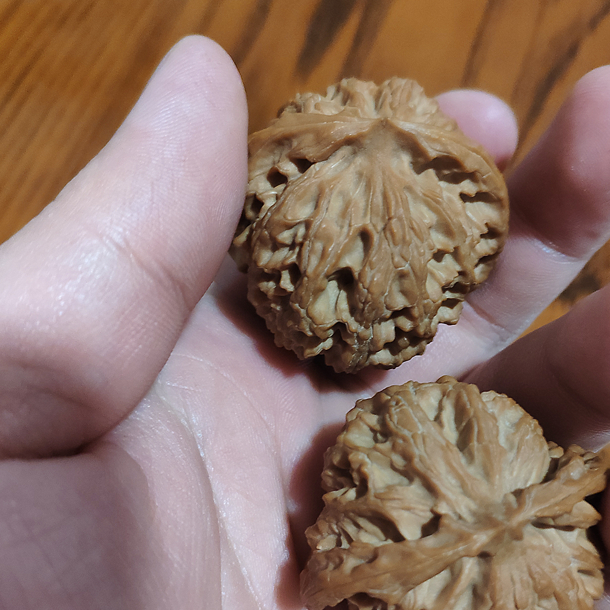 刚买来的白茬核桃要先把这些事情干完,我们才能不瞻前顾后地盘玩_文玩