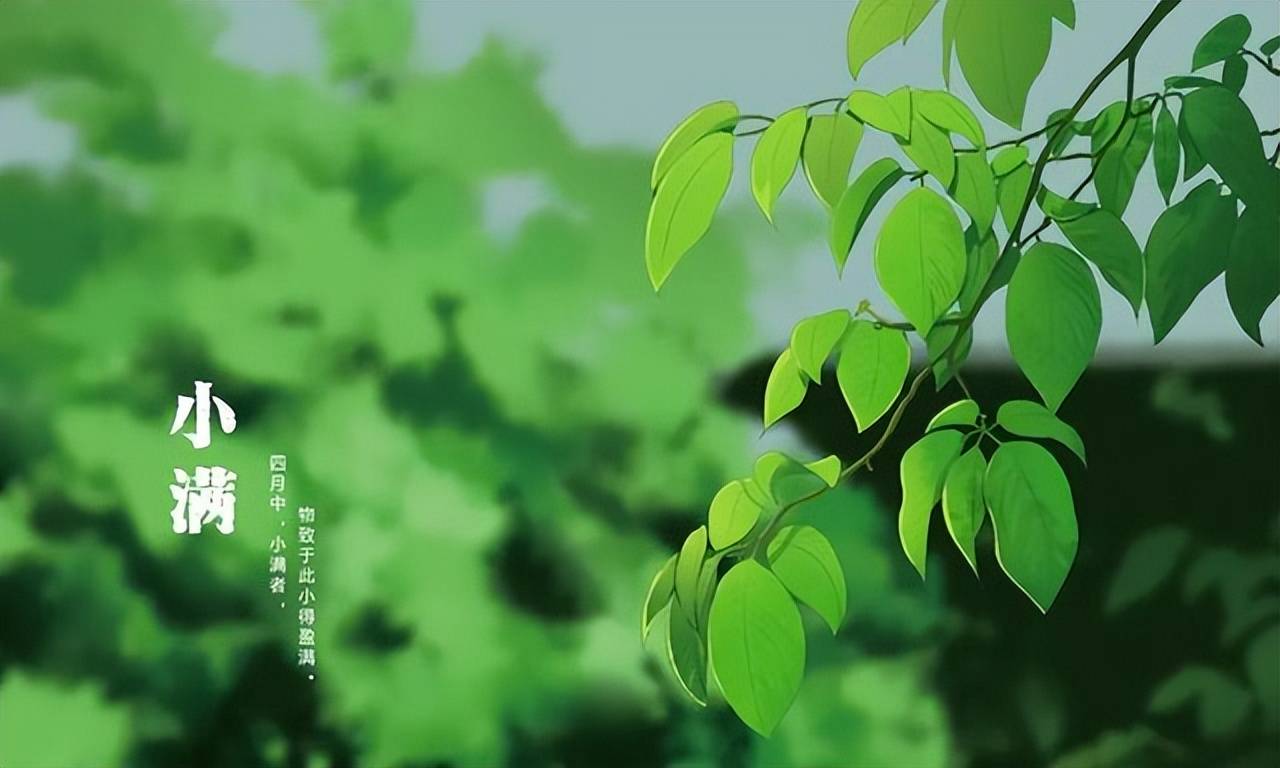 二十四节气,24张美图,24首诗词,又被中式美学惊艳