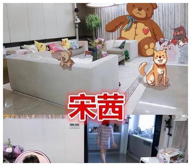 独居豪宅的"隐形富婆"宋茜:外卖7道菜猪为伴,奢华生活引关注_故事