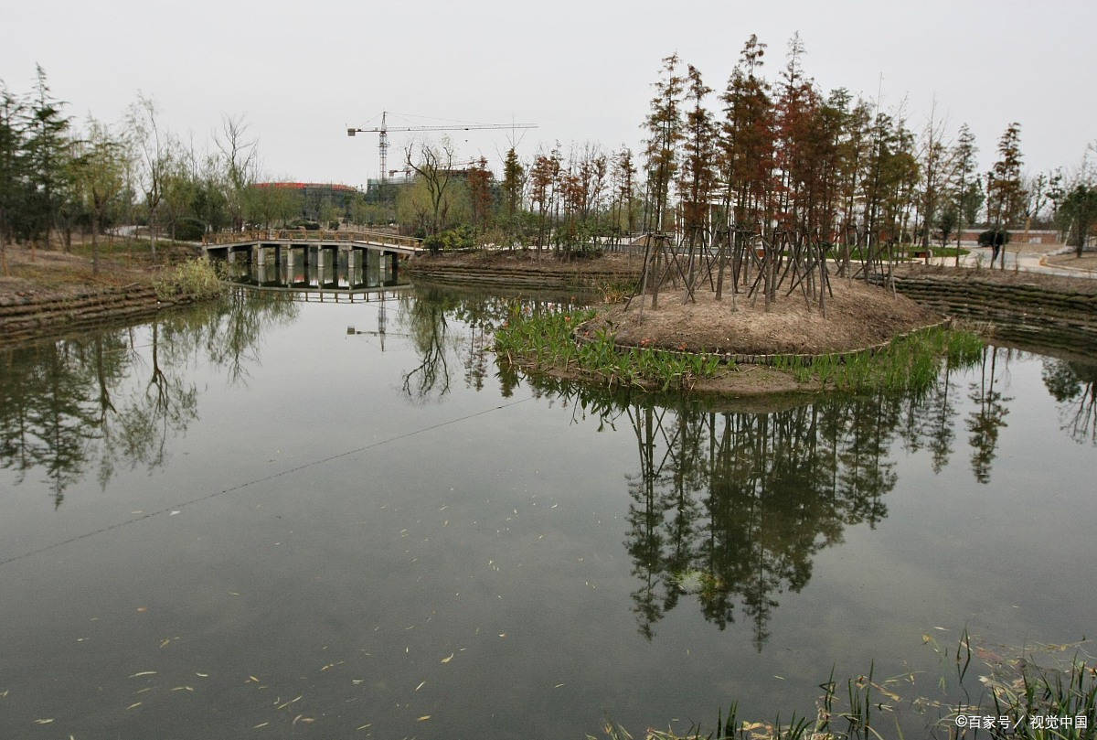 全球畅行联盟-一篇攻略带你在徐州市的3a级景区滨湖公园进行游玩_游客