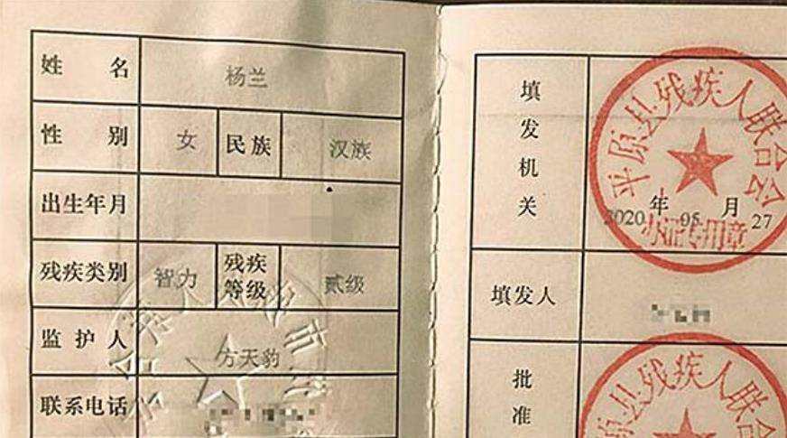 受母亲杨兰的遗传,方洋洋的智力发育也显得比同龄人缓慢,上小学二年级