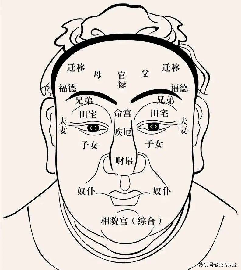 领导的面相图片