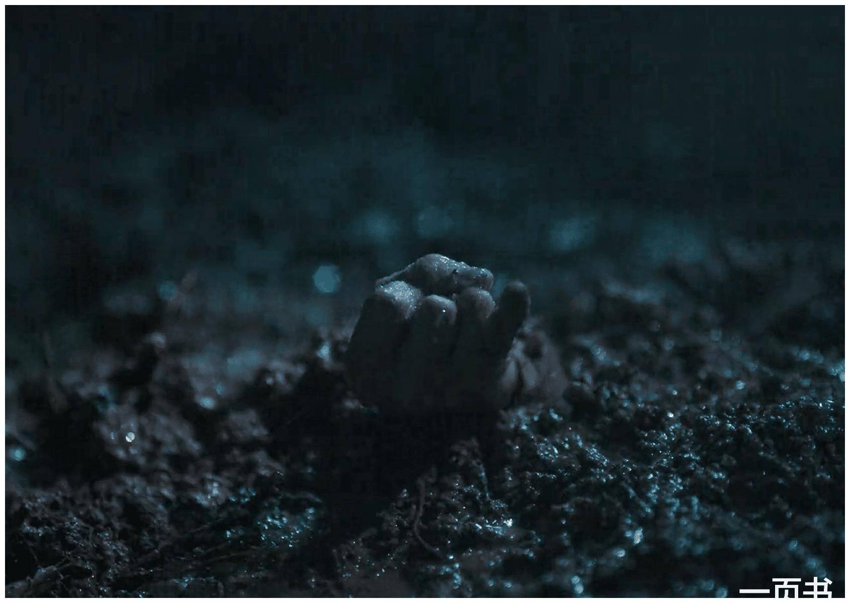 贾金龙是大毒枭,还是藤瘸子,姚玉玲同流合污_新和_马魁_汪新