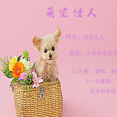 小流浪狗受伤摊在垃圾堆里无人管,男子好心带回,2