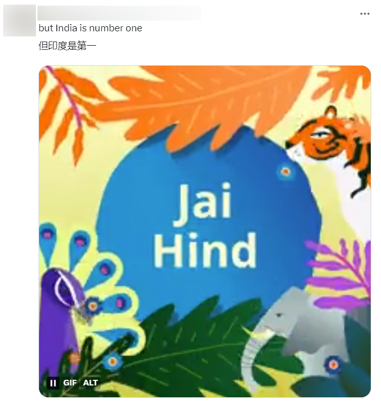 "你们说得对,但印度才是南波湾(number one).""美国有外交吗?