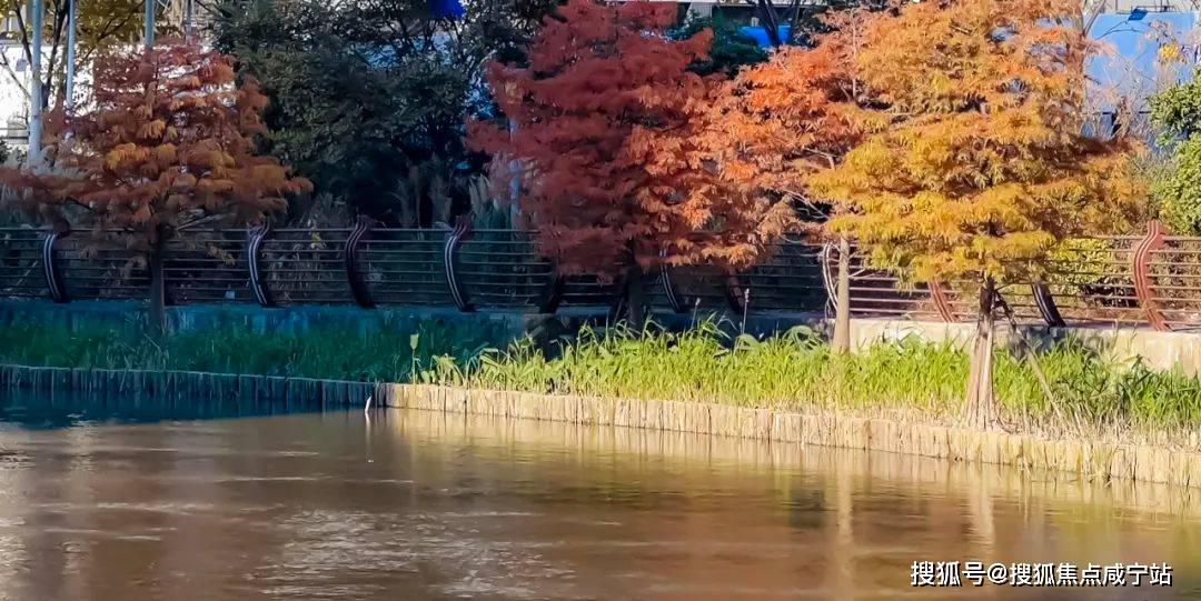 浦发东望(浦发东望)首页网站|浦东浦发东望欢迎您|浦发东望楼盘详情_