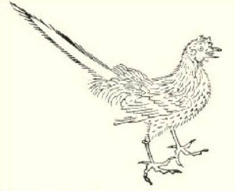 箴鱼其中多箴鱼,其状如儵,其喙如箴,食之无疫疾.