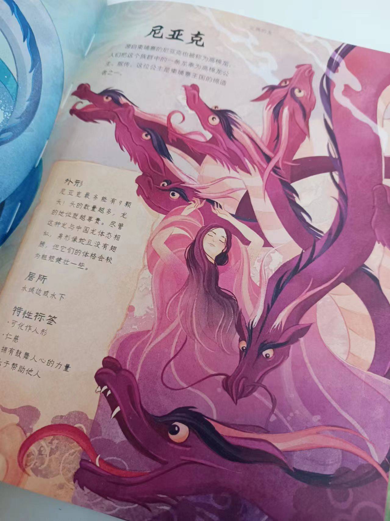 龙的_翅膀_人形